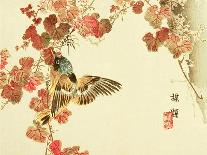 Flowers and Birds Picture Album by Bairei No.10-Bairei Kono-Stretched Canvas