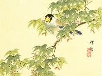 Flowers and Birds Picture Album by Bairei No.4-Bairei Kono-Giclee Print