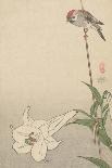 White Heron and Lotus-Baison-Laminated Art Print