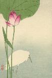 White Heron and Lotus-Baison-Framed Stretched Canvas