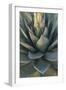 Baja California, Mexico. Green Agave leaves, detail-Judith Zimmerman-Framed Photographic Print