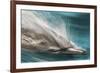 Baja, Sea of Cortez, Gulf of California, Mexico. Motion blur shot of a Long-beaked common dolphin-Janet Muir-Framed Photographic Print