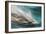 Baja, Sea of Cortez, Gulf of California, Mexico. Motion blur shot of a Long-beaked common dolphin-Janet Muir-Framed Photographic Print