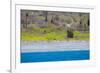 Baja, Sea of Cortez, UNESCO Site, Desert landscape in springtime.-Janet Muir-Framed Photographic Print