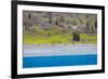 Baja, Sea of Cortez, UNESCO Site, Desert landscape in springtime.-Janet Muir-Framed Photographic Print