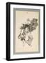 Bajan Riñendo, or They Go Down Quarrelling (Brush and Grey Wash with Scraping on Paper)-Francisco de Goya-Framed Giclee Print