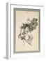 Bajan Riñendo, or They Go Down Quarrelling (Brush and Grey Wash with Scraping on Paper)-Francisco de Goya-Framed Giclee Print