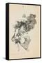 Bajan Rinendo (They Go Down Quarreling)-Francisco de Goya-Framed Stretched Canvas