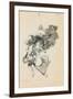 Bajan Rinendo (They Go Down Quarreling)-Francisco de Goya-Framed Giclee Print