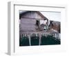 Bajau Family in Stilt House Over the Sea, with Fish Drying on Platform Outside, Sabah, Malaysia-Lousie Murray-Framed Photographic Print