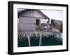 Bajau Family in Stilt House Over the Sea, with Fish Drying on Platform Outside, Sabah, Malaysia-Lousie Murray-Framed Photographic Print