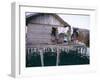 Bajau Family in Stilt House Over the Sea, with Fish Drying on Platform Outside, Sabah, Malaysia-Lousie Murray-Framed Photographic Print