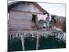 Bajau Family in Stilt House Over the Sea, with Fish Drying on Platform Outside, Sabah, Malaysia-Lousie Murray-Mounted Photographic Print