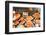 Baked Goods-Found Image Press-Framed Photographic Print