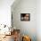 Baker Arranges Breads at His Shop in Kandahar Province, South of Kabul, Afghanistan-null-Framed Stretched Canvas displayed on a wall