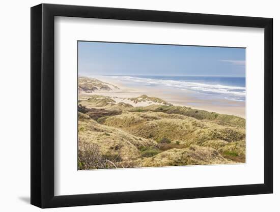 Baker Beach, Oregon, USA. Grassy dunes and a sandy beach on the Oregon coast.-Emily Wilson-Framed Photographic Print