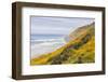 Baker Beach, Oregon, USA. Yellow flowers on hillsides on the Oregon coast.-Emily Wilson-Framed Photographic Print