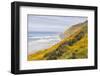 Baker Beach, Oregon, USA. Yellow flowers on hillsides on the Oregon coast.-Emily Wilson-Framed Photographic Print