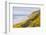 Baker Beach, Oregon, USA. Yellow flowers on hillsides on the Oregon coast.-Emily Wilson-Framed Photographic Print