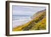 Baker Beach, Oregon, USA. Yellow flowers on hillsides on the Oregon coast.-Emily Wilson-Framed Photographic Print