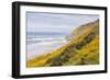 Baker Beach, Oregon, USA. Yellow flowers on hillsides on the Oregon coast.-Emily Wilson-Framed Photographic Print