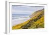 Baker Beach, Oregon, USA. Yellow flowers on hillsides on the Oregon coast.-Emily Wilson-Framed Photographic Print