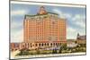 Baker Hotel, Mineral Wells, Texas-null-Mounted Art Print