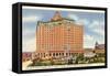 Baker Hotel, Mineral Wells, Texas-null-Framed Stretched Canvas