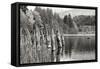 Baker Lake Pilings-Dana Styber-Framed Stretched Canvas