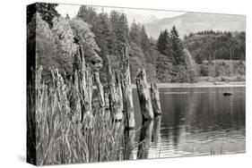 Baker Lake Pilings-Dana Styber-Stretched Canvas