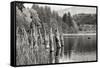 Baker Lake Pilings-Dana Styber-Framed Stretched Canvas