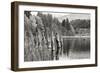 Baker Lake Pilings-Dana Styber-Framed Photographic Print