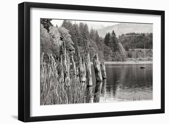 Baker Lake Pilings-Dana Styber-Framed Photographic Print