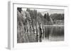 Baker Lake Pilings-Dana Styber-Framed Photographic Print