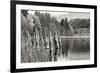 Baker Lake Pilings-Dana Styber-Framed Photographic Print