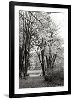 Baker Lake Trail I-Dana Styber-Framed Photographic Print