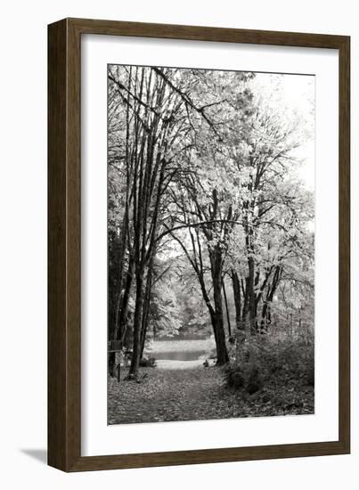 Baker Lake Trail I-Dana Styber-Framed Photographic Print