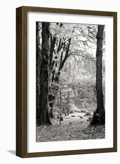 Baker Lake Trail II-Dana Styber-Framed Photographic Print