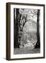 Baker Lake Trail II-Dana Styber-Framed Photographic Print