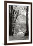 Baker Lake Trail II-Dana Styber-Framed Photographic Print