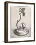 Baker's Mounted Lens Microscope-Poyet-Framed Art Print