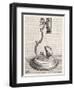 Baker's Mounted Lens Microscope-Poyet-Framed Art Print