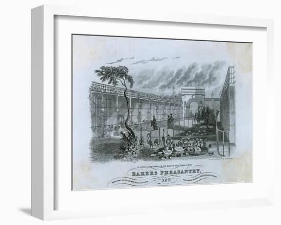Bakers Pheasantry, Chelsea-null-Framed Giclee Print