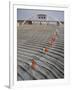 Bakersfield Junior College: Cheerleaders Practicing for Football Rally-Ralph Crane-Framed Photographic Print