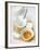 Baking Ingredients (Egg Yolk and Beaten Egg White)-Ira Leoni-Framed Photographic Print