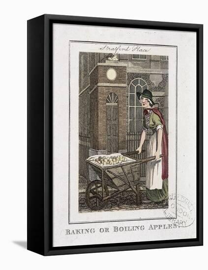 Baking or Boiling Apples, Cries of London, 1804-William Marshall Craig-Framed Stretched Canvas