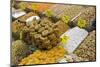 Baklava and Dried Fruit and Nuts for Sale, Spice Bazaar, Istanbul, Turkey, Western Asia-Martin Child-Mounted Photographic Print