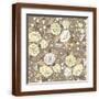 Brown Frame