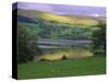 Bala Lake, Snowdonia National Park, Wales, UK, Europe-Duncan Maxwell-Stretched Canvas