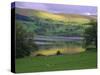 Bala Lake, Snowdonia National Park, Wales, UK, Europe-Duncan Maxwell-Stretched Canvas